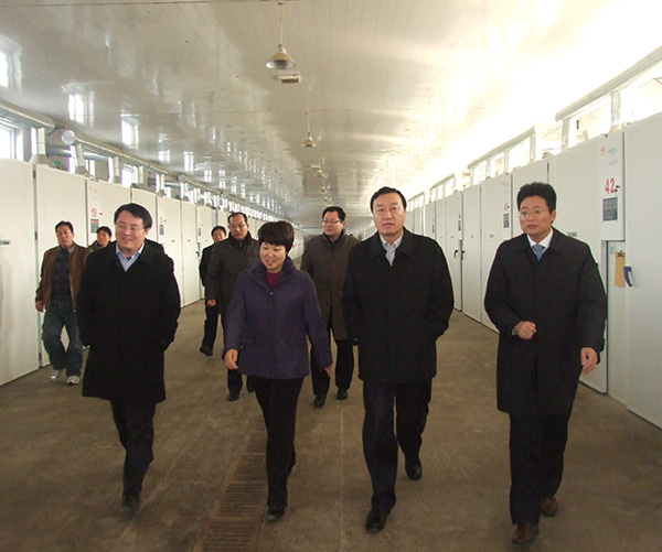市委副書記、市長調研
